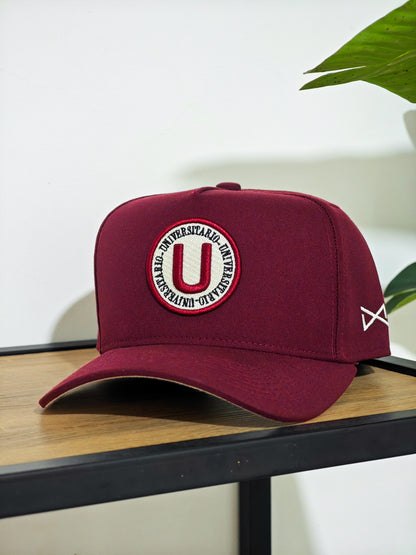 Pack Bicampeones (U) - 3 gorras + Cuadro histórico