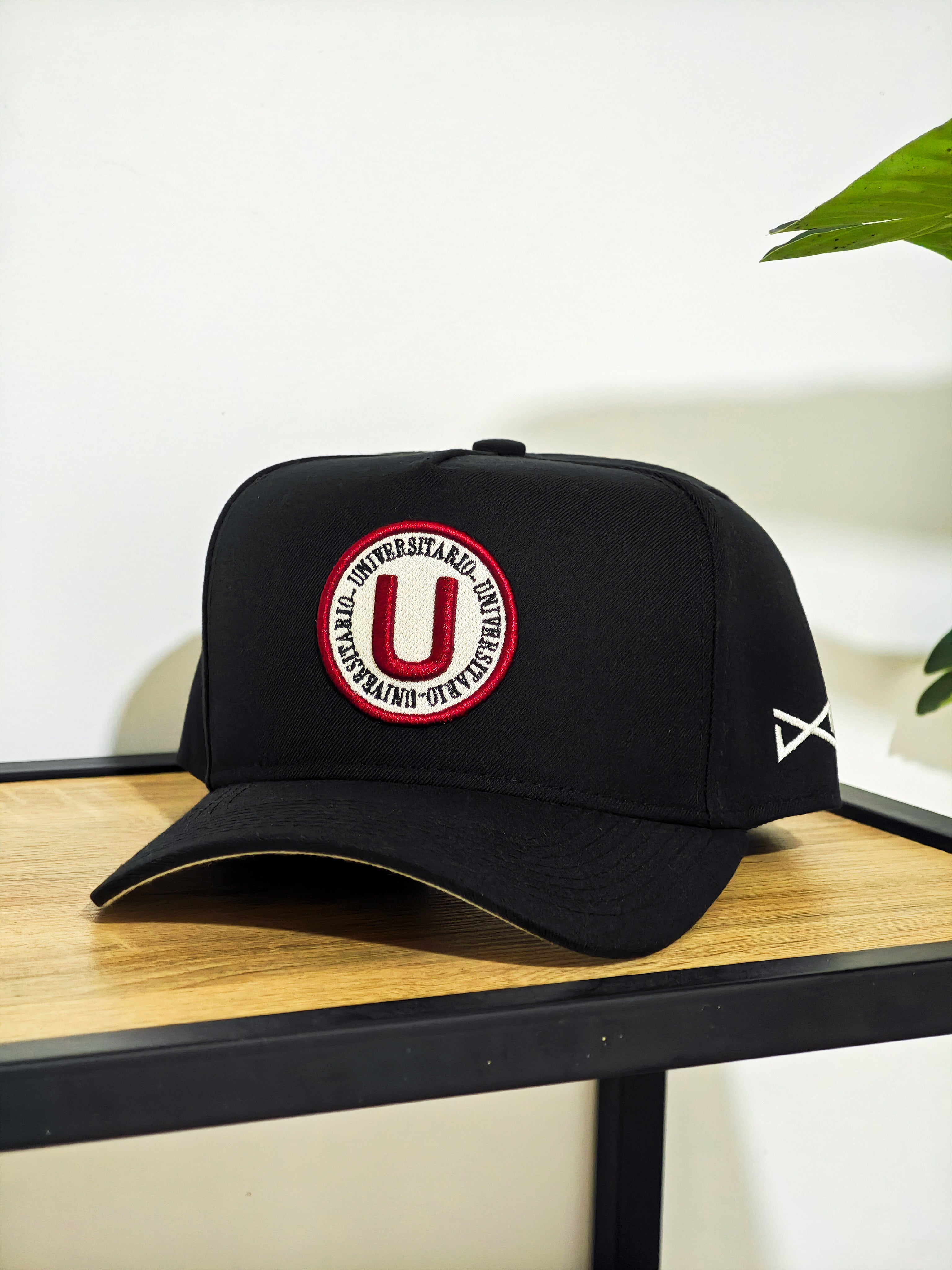 Pack Bicampeones (U) - 3 gorras + Cuadro histórico