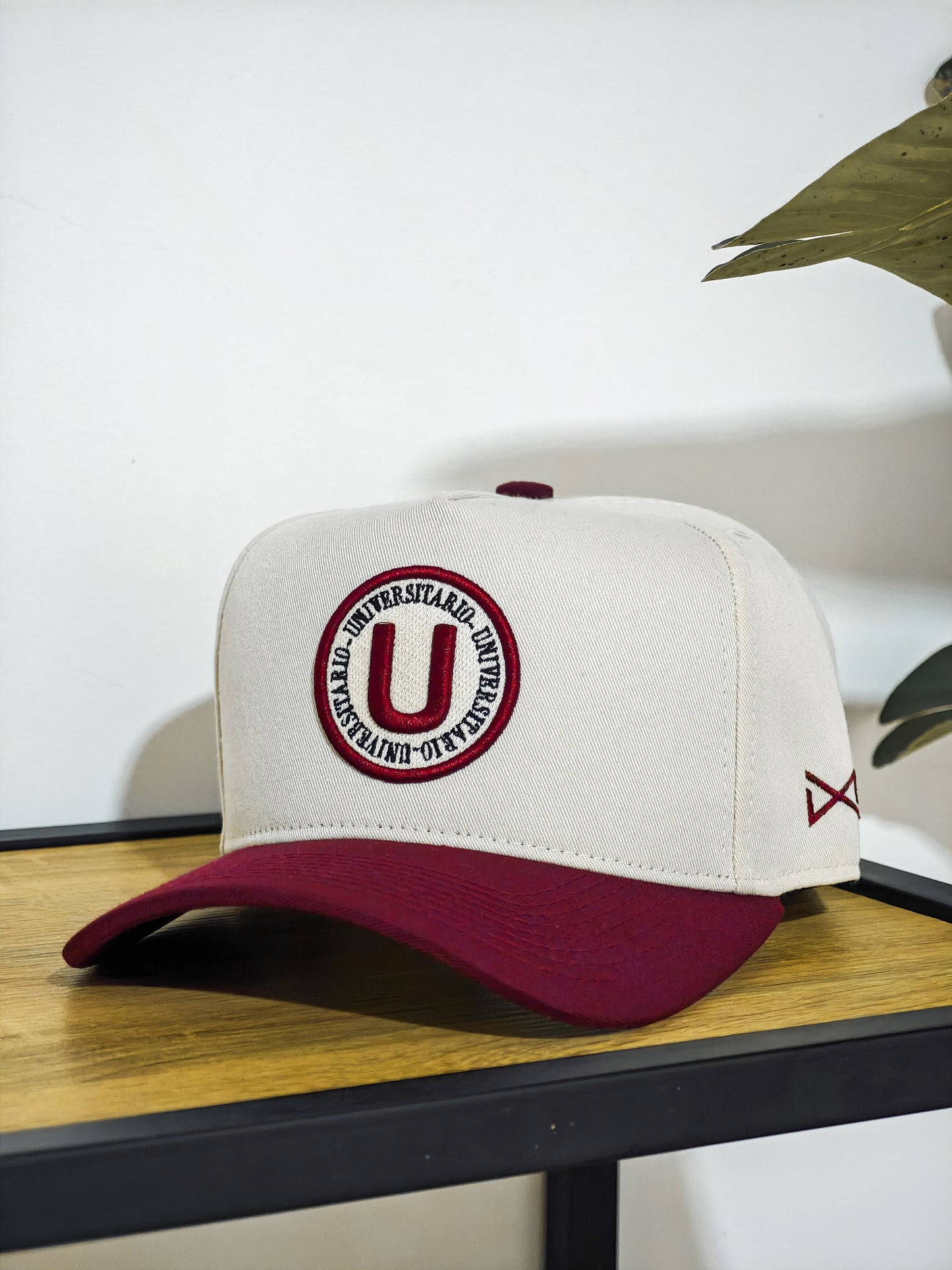 Pack Bicampeones (U) - 3 gorras + Cuadro histórico
